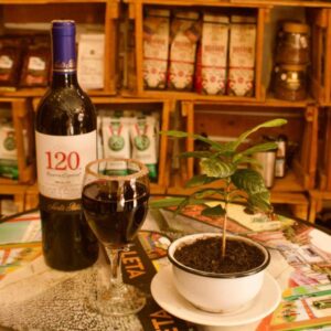 Café Origen La Plazoleta