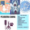 Centro Veterinario VitalVet - Imagen 6