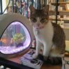 Veterinaria Nacho Pets - Imagen 4