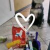 Veterinaria Nacho Pets - Imagen 6