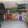 Niauudog. - Imagen 2