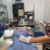 Centro Veterinario VitalVet - Imagen 10