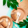 Distribuidora de Productos Biodegradables Patricia Z. - Imagen 2