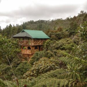 Adriana's Bambu-Lodge