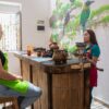 Tour del Cacao en Tienda - Imagen 2
